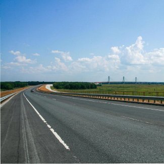 Next Wave Appreciation - Paulsn Gardens